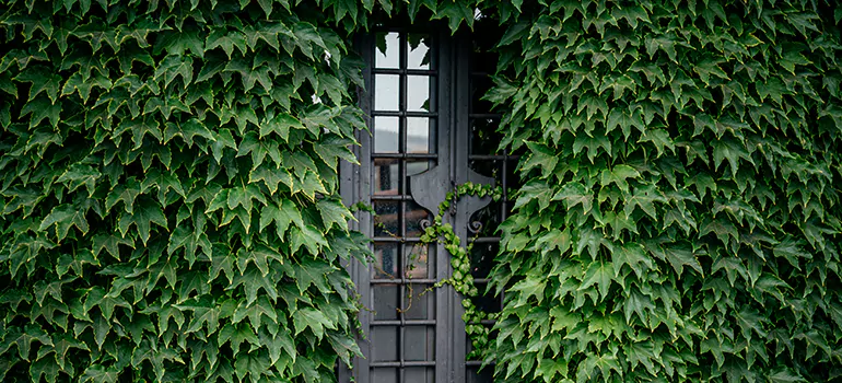 Garden Gate Repair in Lakeside, FL