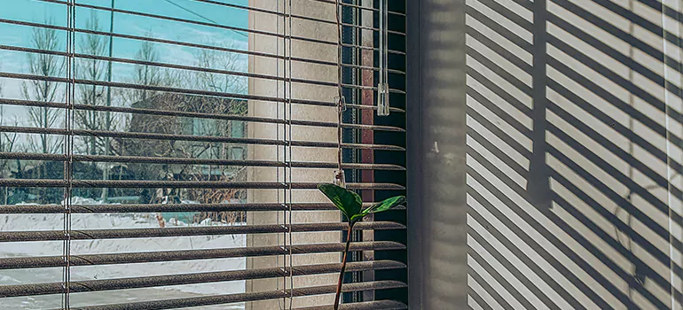 Commercial Window Blinds in Lakeside, FL